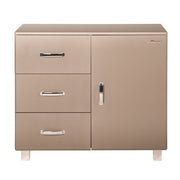 Miami Sideboard mit 1 Türen und 3 Schubladen mit Vollauszug und Soft-Close Beschlägen, Autometallic Lackierung, chromfarbene Griffe, Füsse und Logo aus hochwertigem Autoschriftzug, in taupe