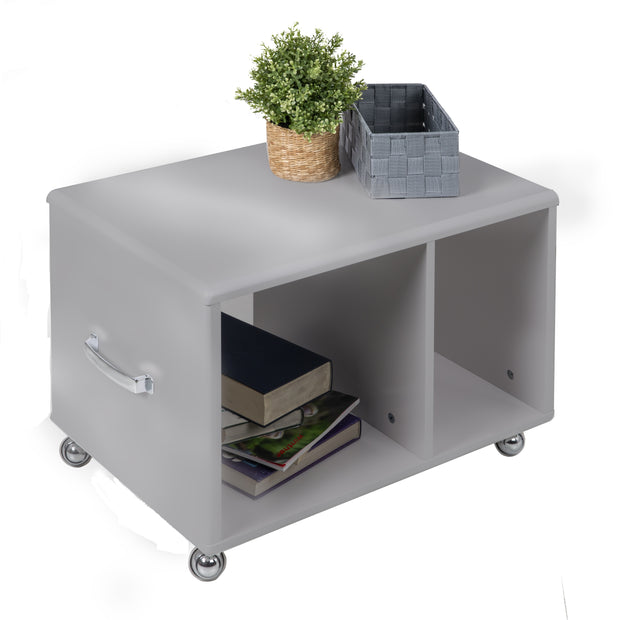 Miami Couchtisch/Universalcontainer mit Rollen und 2 Fächern, Autometallic Lackierung, chromfarbenes Logo aus hochwertigem Autoschriftzug, grau