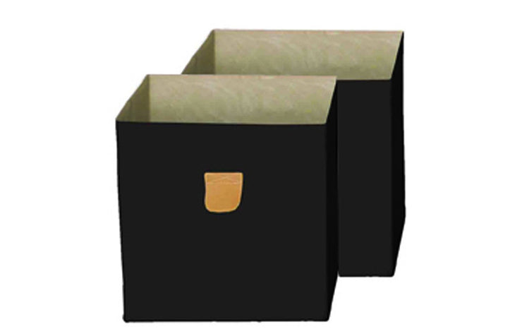 Stor' It - 2 faltbare Boxen aus Canvasstoff mit PU-Leder-Lasche, 34x34x34cm, passend für die Regale der Serien Fortuna, Prana und Caro - einrichten-24, Regale & Stauraummöbel 